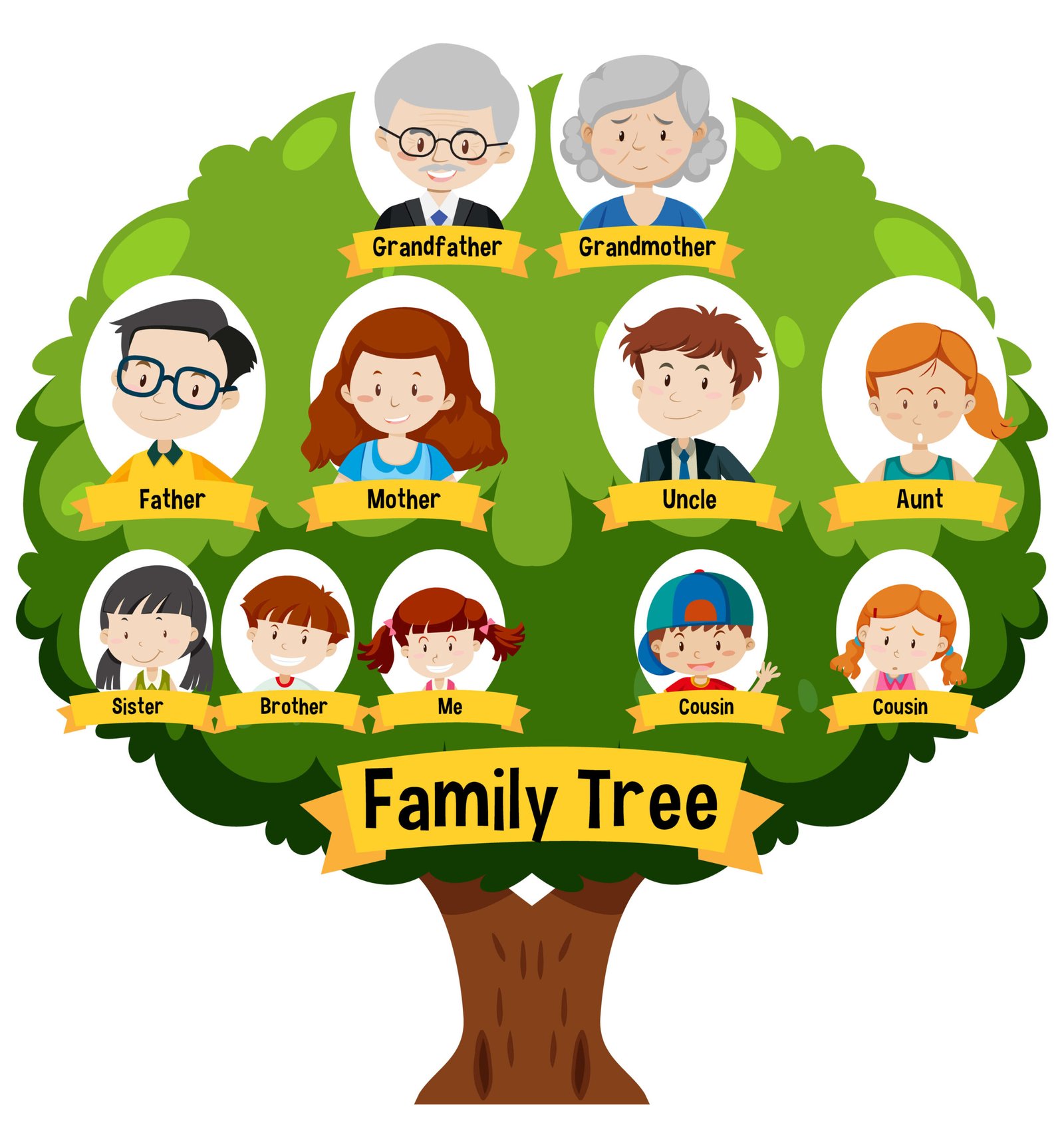 أفراد العائلة (Family Members)